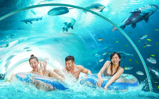 Guests enjoying a tube ride through an underwater tunnel at Adventure Cove Waterpark™.