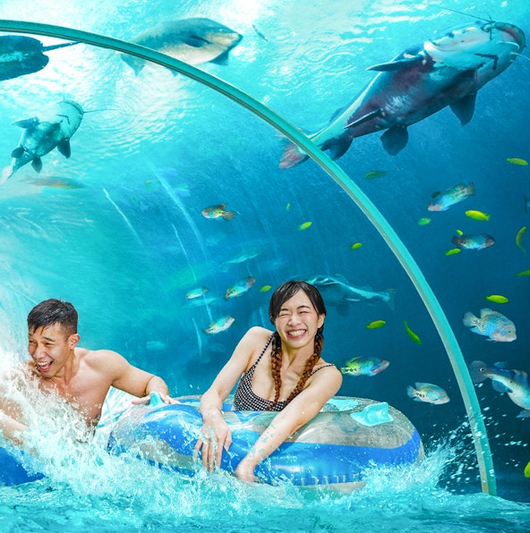 Make a splash at Adventure Cove Waterpark in Sentosa!