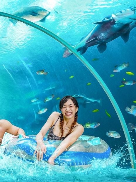 Guests enjoying a tube ride through an underwater tunnel at Adventure Cove Waterpark™.