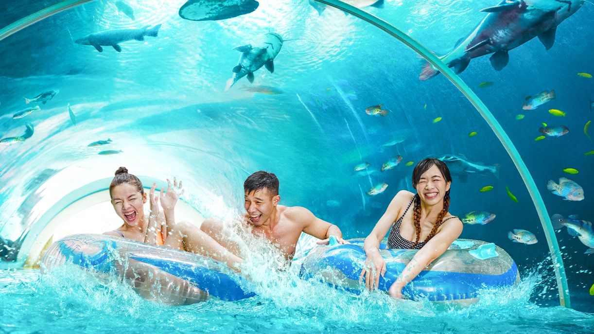 Guests at Adventure Cove Waterpark