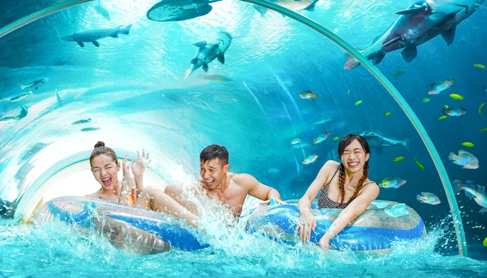 Guests at Adventure Cove Waterpark™