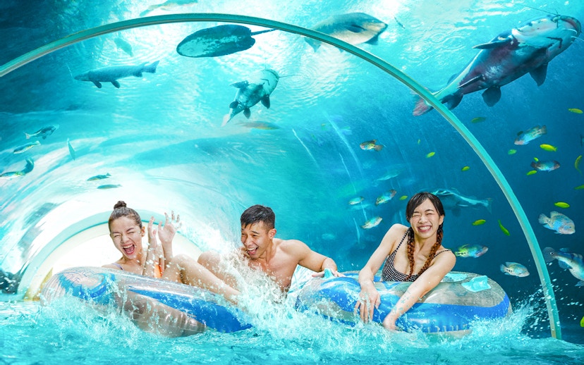 Guests enjoying a tube ride through an underwater tunnel at Adventure Cove Waterpark™.
