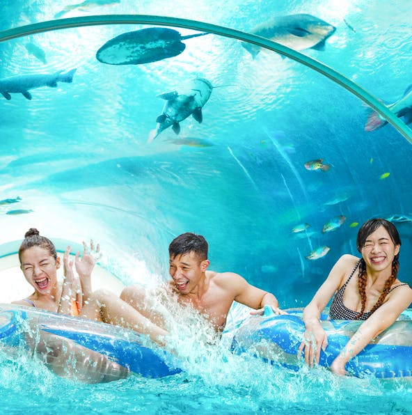 Make a splash at Adventure Cove Waterpark in Sentosa!