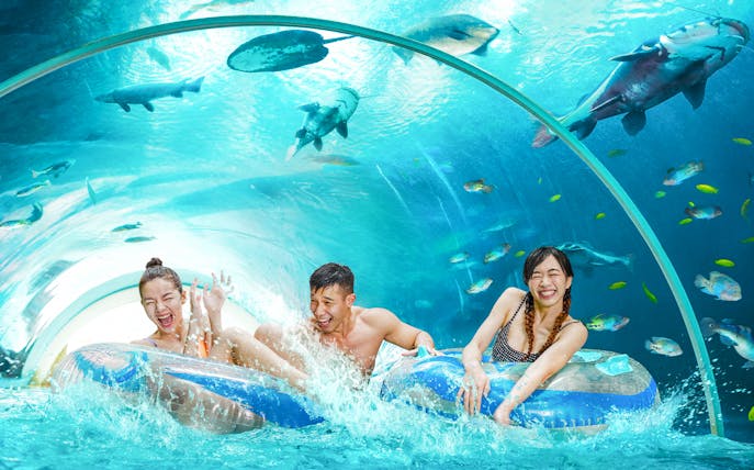 Guests enjoying a tube ride through an underwater tunnel at Adventure Cove Waterpark™.