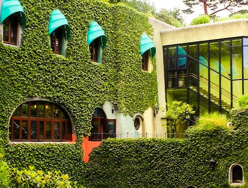 Studio Ghibli Museum exterior with ivy-covered walls and arched windows in Mitaka, Japan.