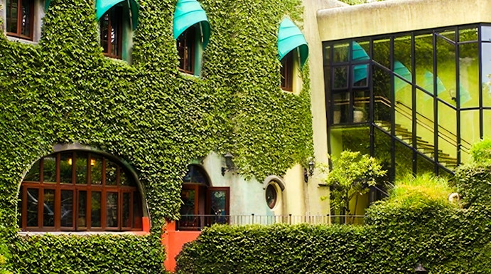 Studio Ghibli Museum exterior with ivy-covered walls and arched windows in Mitaka, Japan.