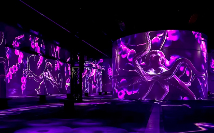 Guests exploring vibrant octopus projections at Port des Lumières - Ocean Wonders.