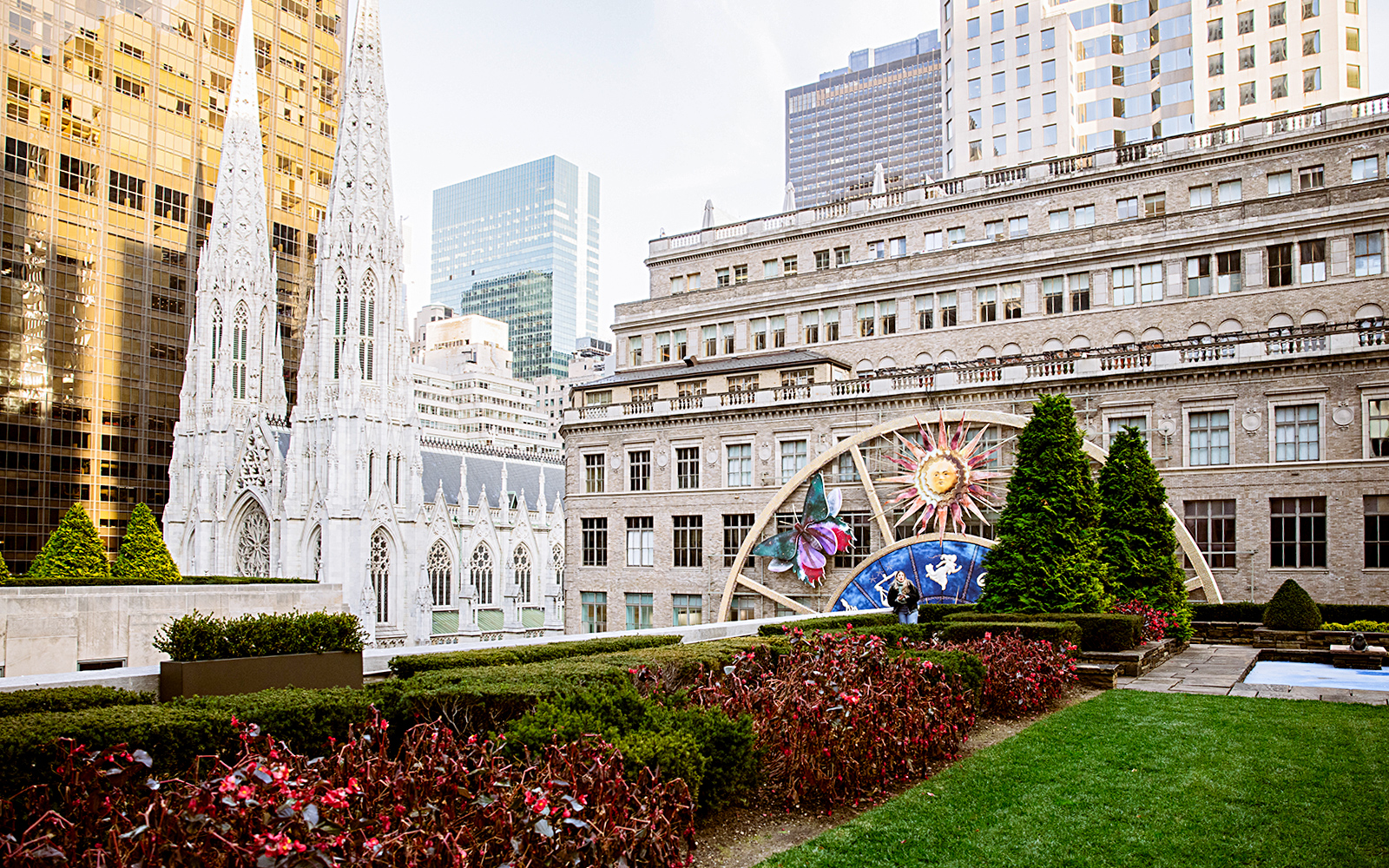 Rooftop garden view with St. Patrick's Cathedral and Rockefeller Center, New York City.