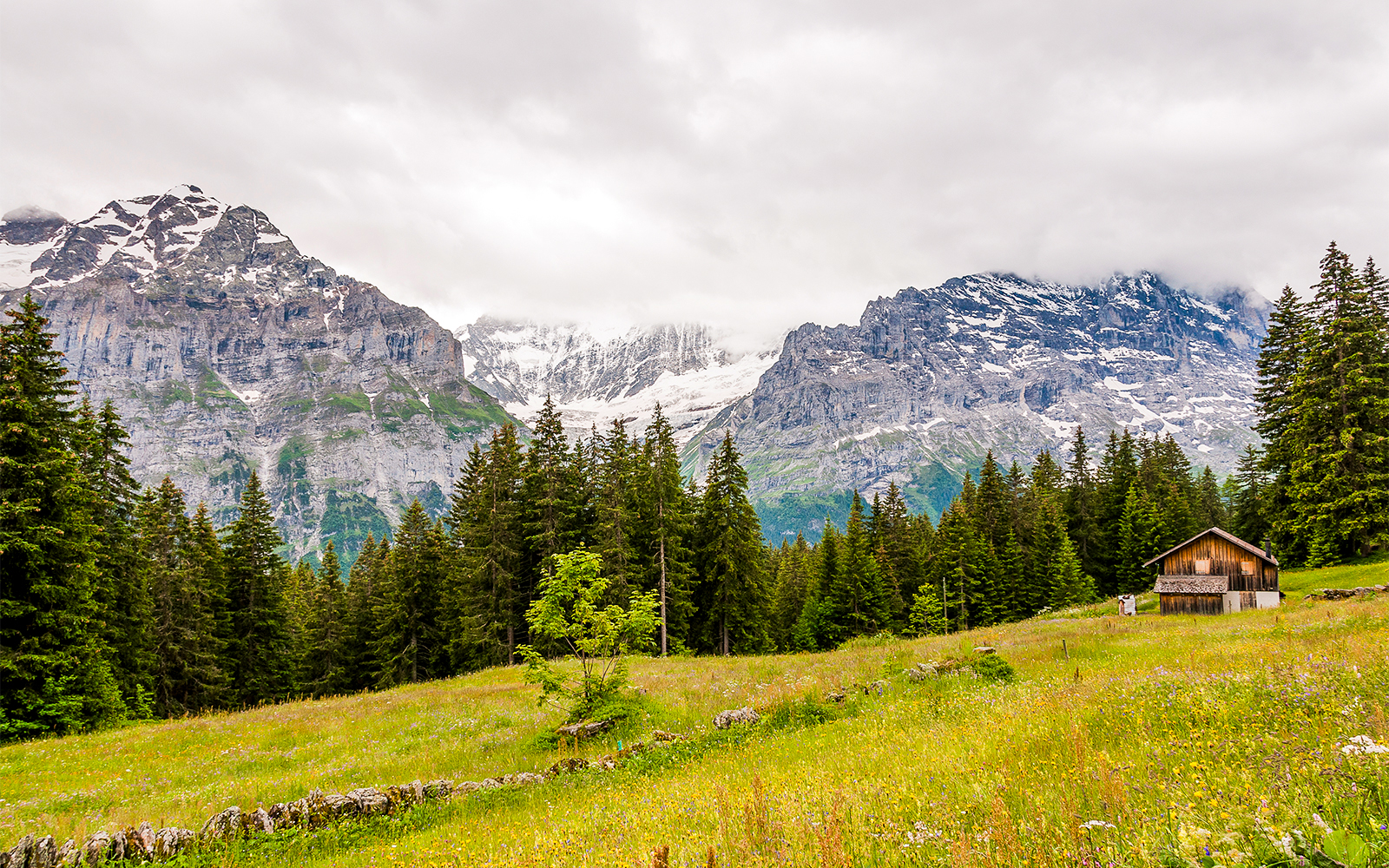 Grindelwald First Bort cable car with scenic mountain views in Switzerland.