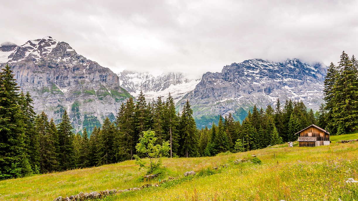 Experience Trottibike Grindelwald