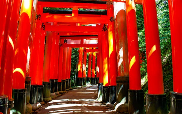 Fushimi Inari Shrine's red torii gates in Kyoto, Japan, on a guided day tour.