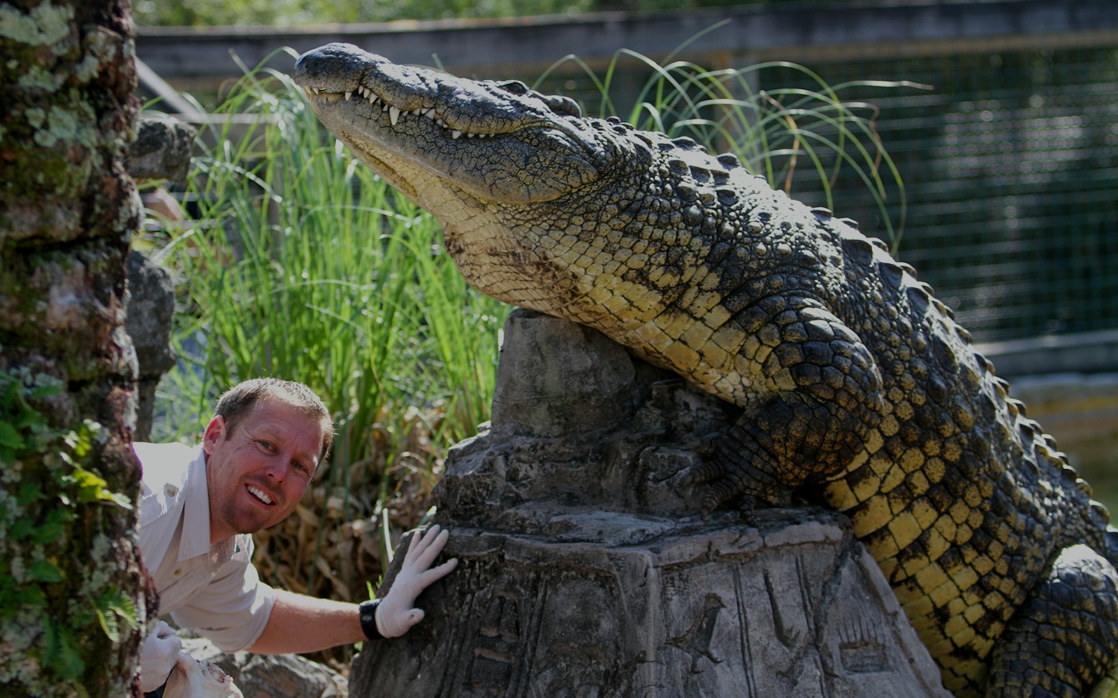 Gatorland - The Alligator Capital of the World
