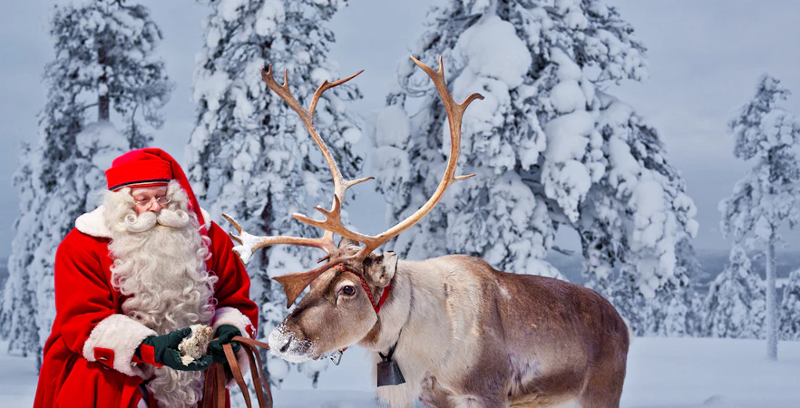 Santa with reindeer in snowy Lapland forest.