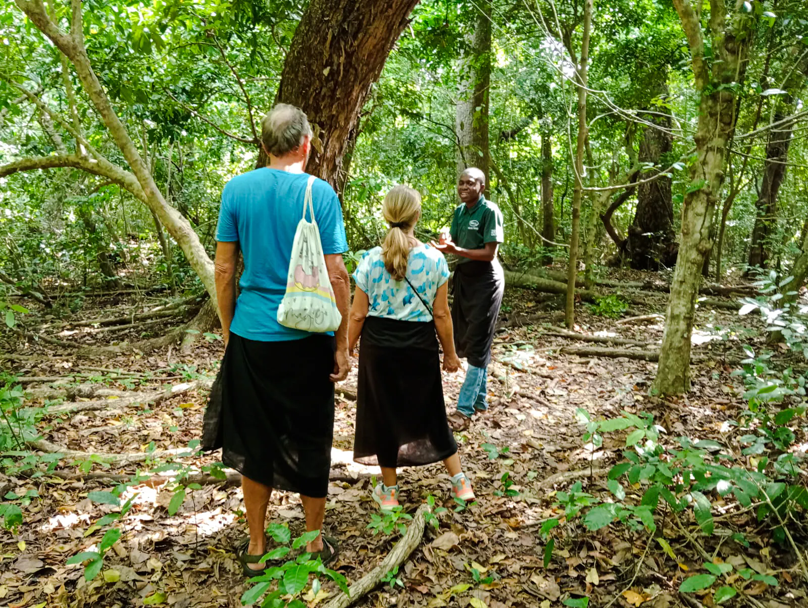Guide leading a tour through Kaya Kinondo Forest, Diani Beach.