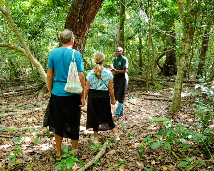 Diani Beach: Kaya Kinondo Sacred Forest Guided Walking Tour with Village Visit (Product 56198)