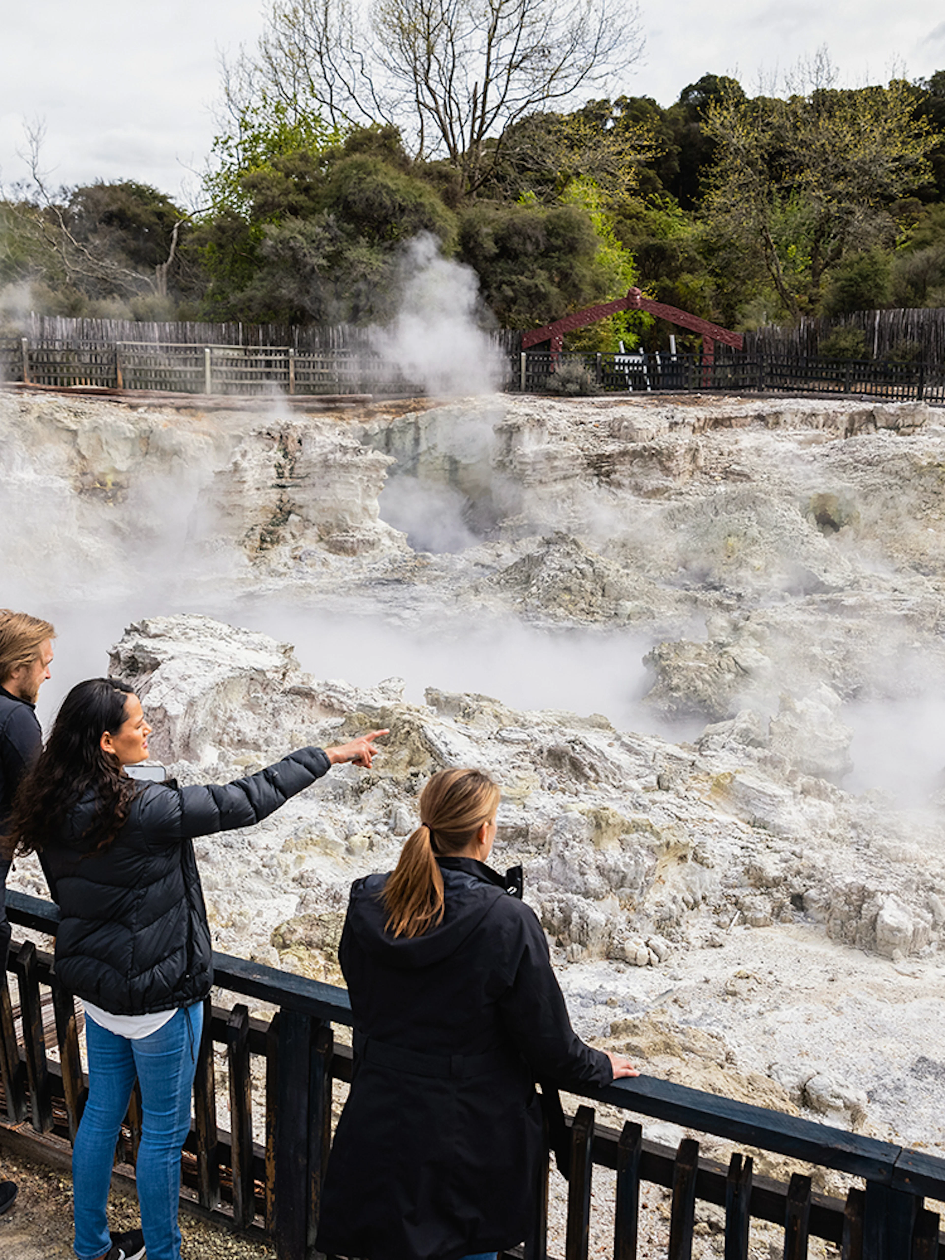 Tourists observing geothermal steam at Hells Gate Geothermal Walk.