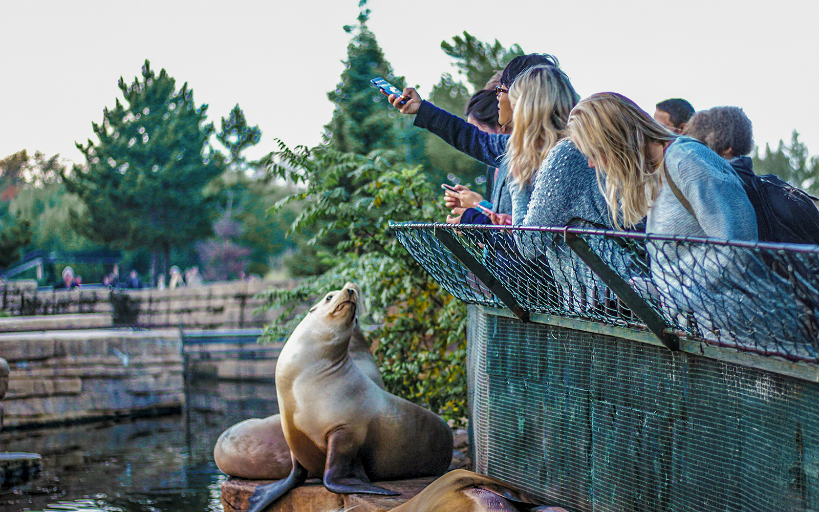 Visitors at Madrid Zoo taking a selfie with a sea lion by the water.