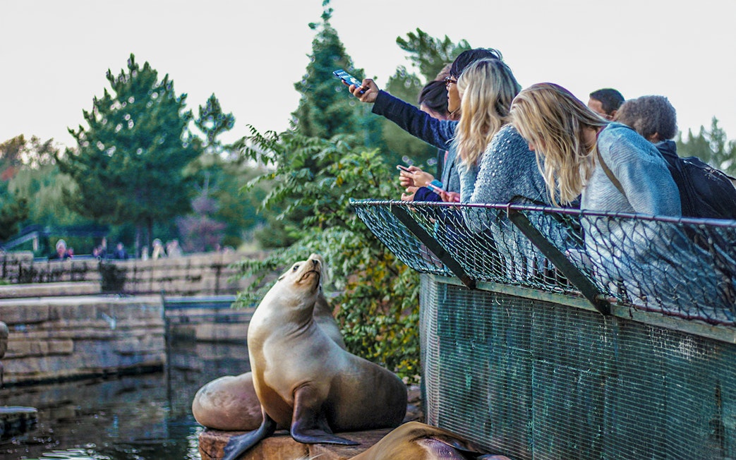 Visitors at Madrid Zoo taking a selfie with a sea lion by the water.