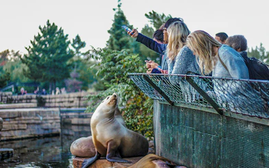 Visitors at Madrid Zoo taking a selfie with a sea lion by the water.