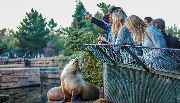 Visitors at Madrid Zoo taking selfie with sea lion.
