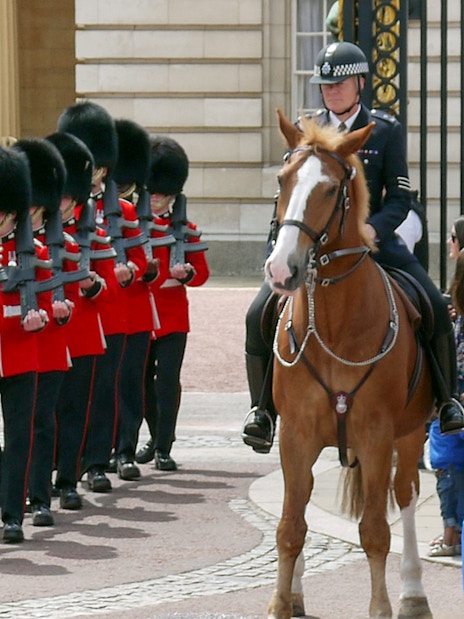 Changing of the guard ceremony at Buckingham Palace, London.
