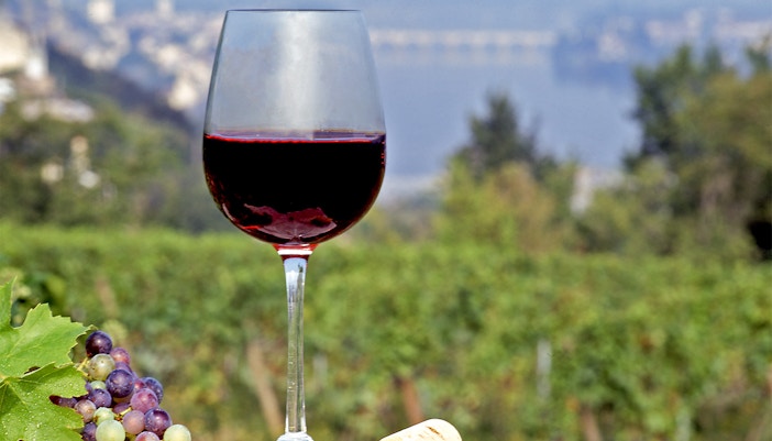 Loire Valley Wineries