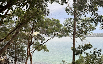 Watsons Bay view through trees overlooking the water, Sydney.