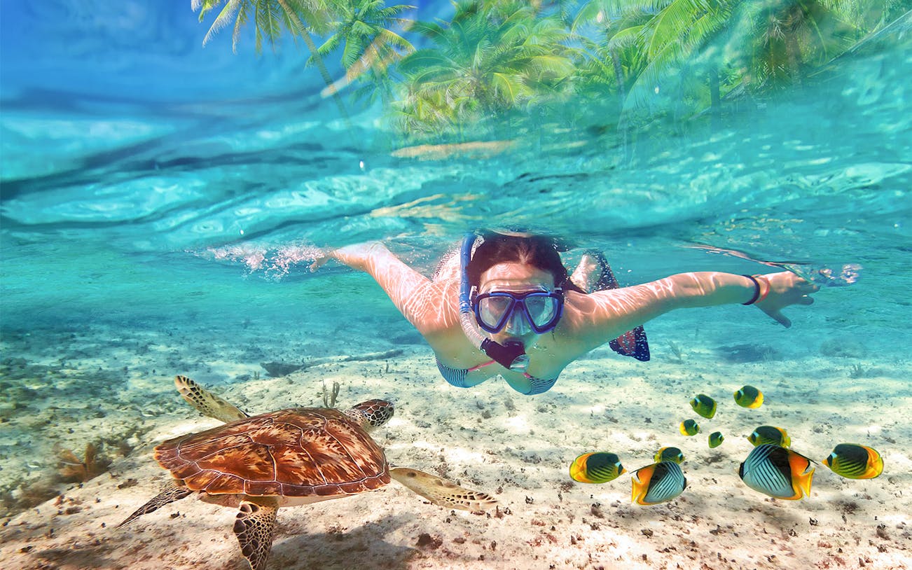 Snorkeler exploring Blue Lagoon Bali with sea turtle and tropical fish.