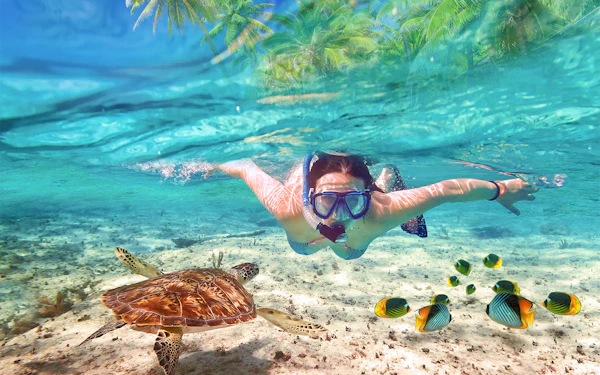 Private Bali Snorkeling Blue Lagoon & Tanjung Jepun