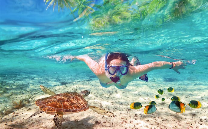 Snorkeler exploring Blue Lagoon Bali with sea turtle and tropical fish.
