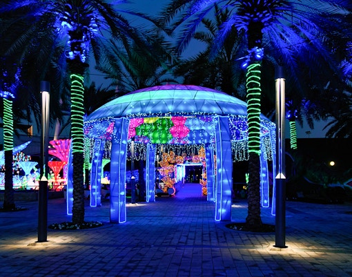 Garden Glow Ice Park