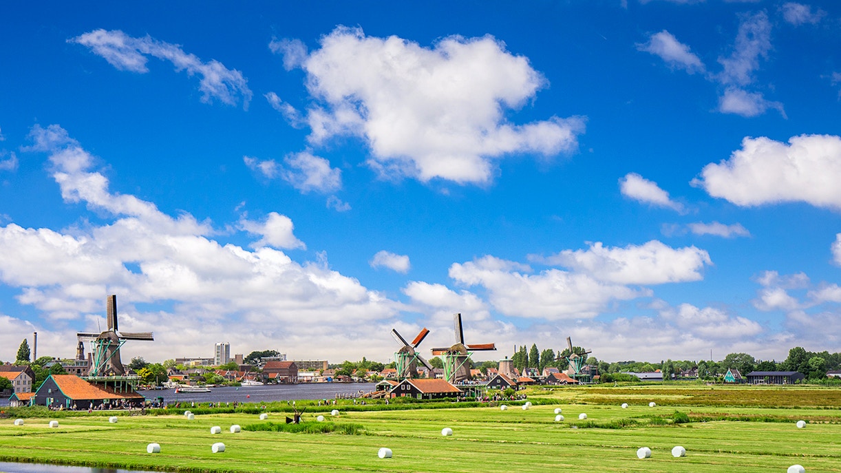 Windmills at Zaanse Schans with green fields and blue sky in the Netherlands.