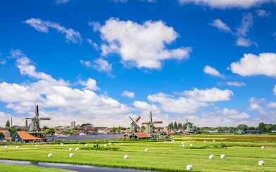 Windmills at Zaanse Schans with green fields and blue sky in the Netherlands.