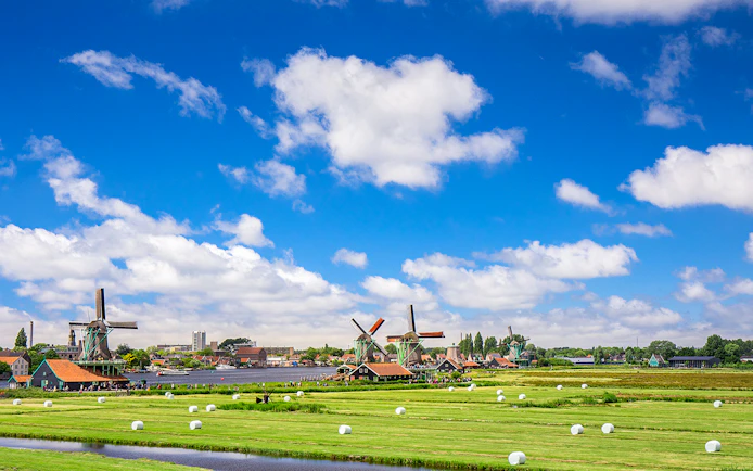 Windmills at Zaanse Schans with green fields and blue sky in the Netherlands.
