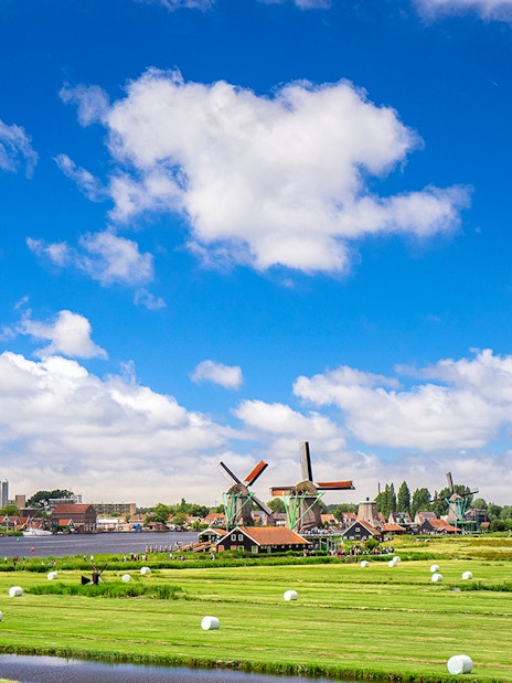 Windmills at Zaanse Schans with green fields and blue sky in the Netherlands.