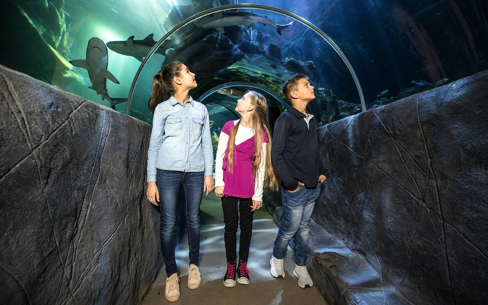 Children walking through an underwater tunnel at SEA LIFE Munich, observing sharks above.
