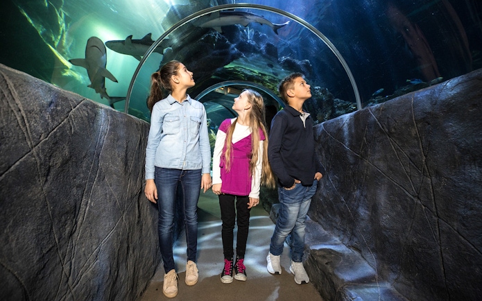 Children walking through an underwater tunnel at SEA LIFE Munich, observing sharks above.