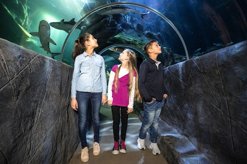 SEA LIFE Munich Ticket