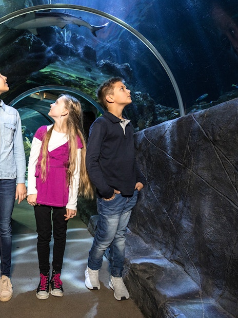 Children walking through an underwater tunnel at SEA LIFE Munich, observing sharks above.