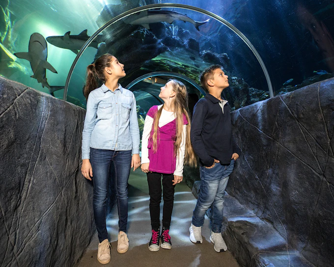 SEA LIFE Munich Ticket