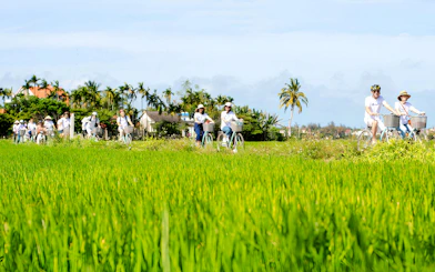Hoi An Countryside Bicycle Tour with Tra Que Vegetable Village Farming Experience and Lunch
