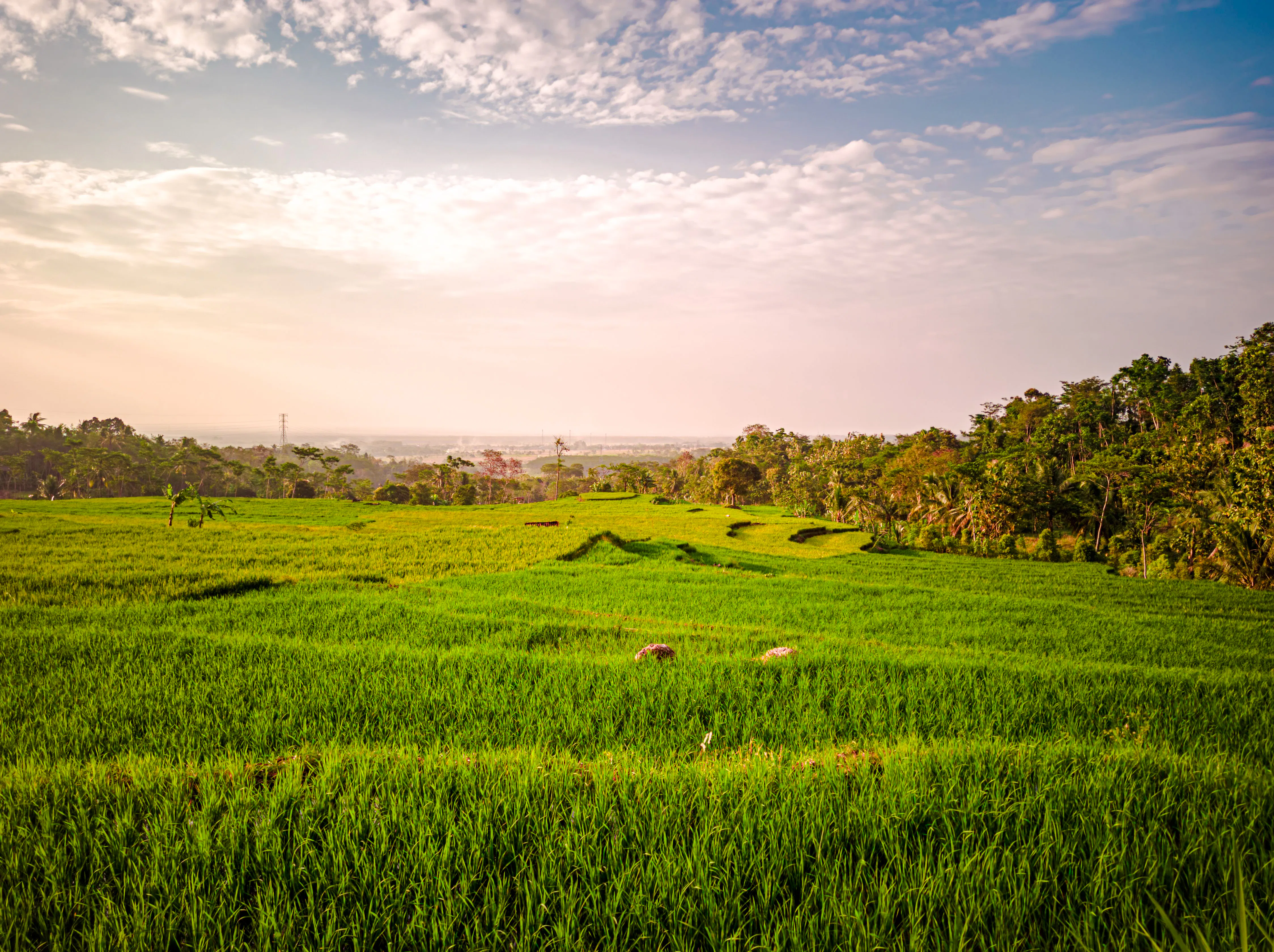 tour privado por bali: descubre bali a tu manera-1