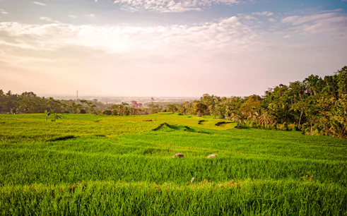tour privado por bali: descubre bali a tu manera-1