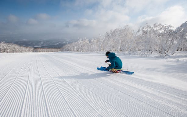 Skier on a snowy slope at Niseko Resort, Japan, with snow-covered trees in the background.