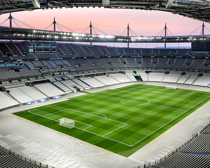 Stade de France Guided Tour with Special Access