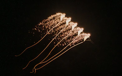 Fireworks display in the night sky at Symphony of the Sea show.