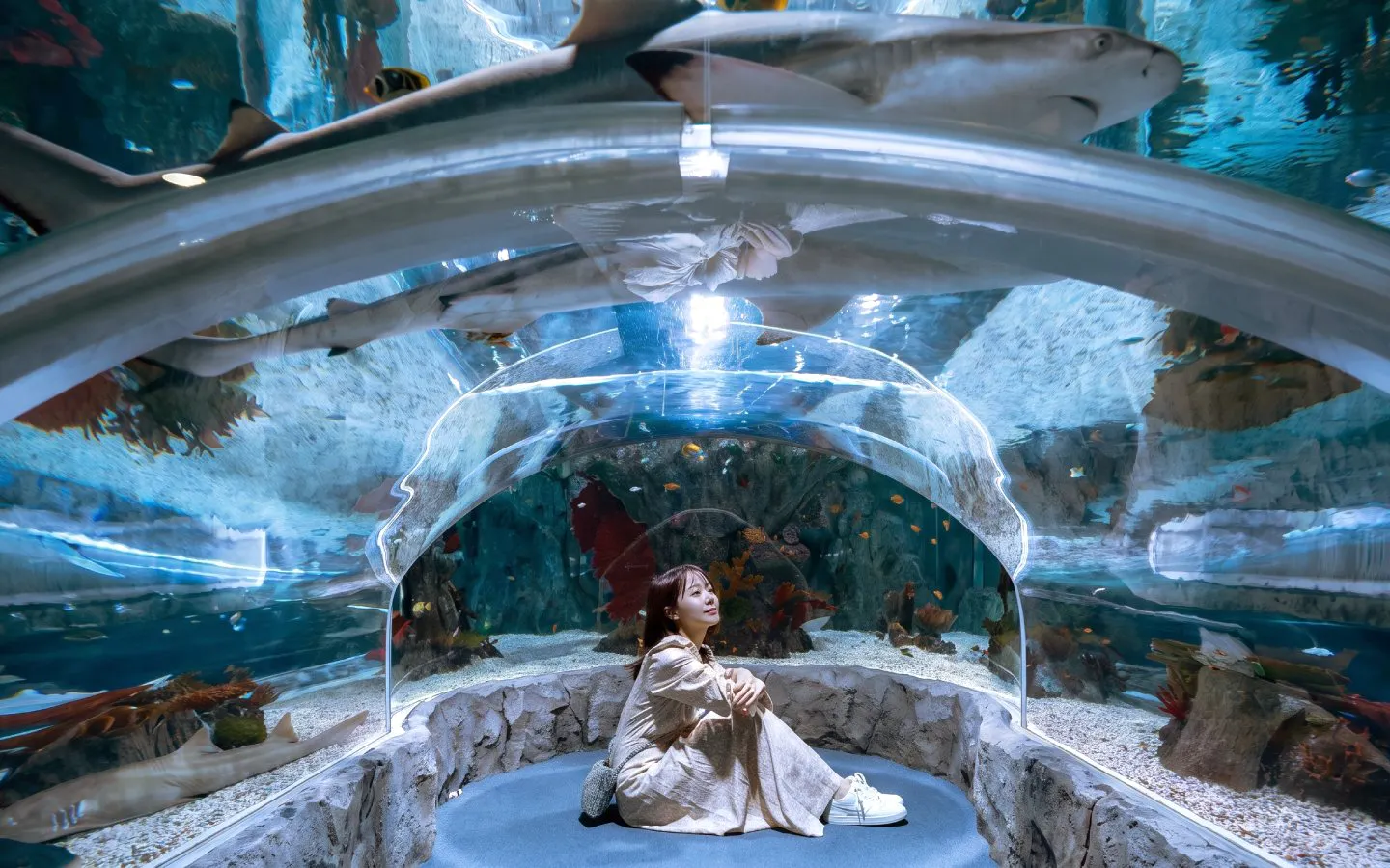 Visitor in underwater tunnel at SEA LIFE Aquarium Busan with sharks swimming above.