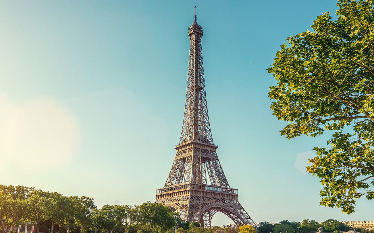 Eiffel Tower in Paris with morning sunlight and surrounding trees.