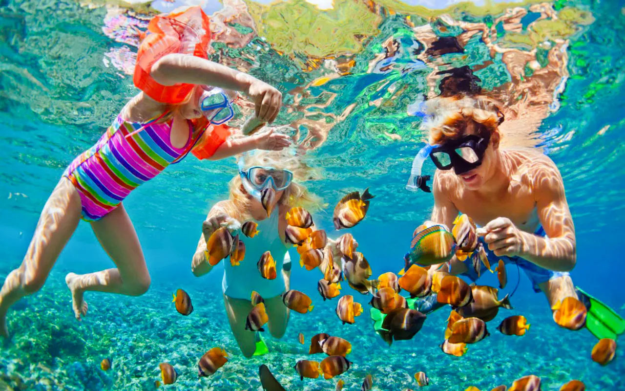 Cham Island Snorkeling Tour from Da Nang & Hoi An