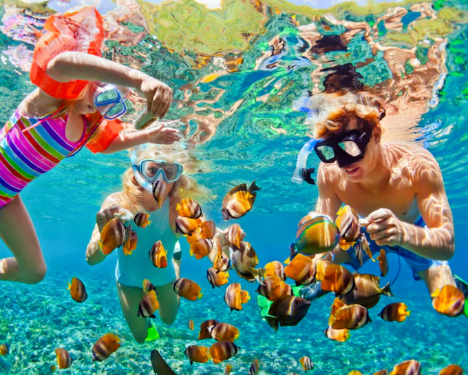 Cham Island Snorkeling Tour with Lunch from Da Nang or Hoi An